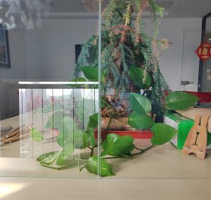 ARC glass